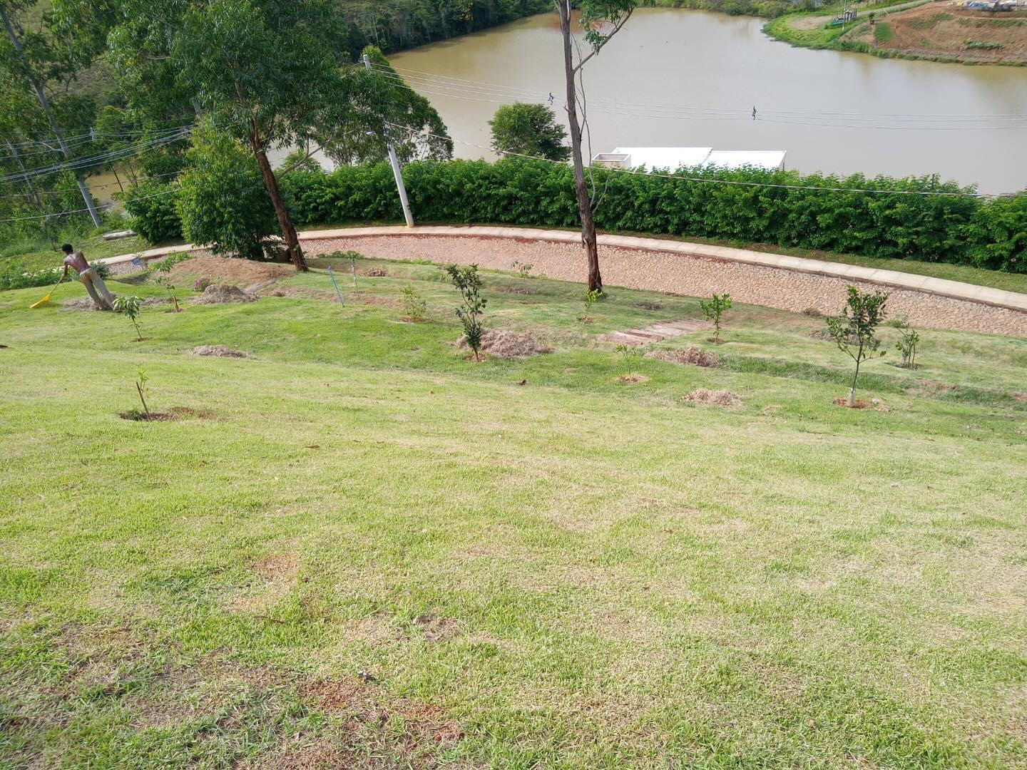 Jardim com gramado verde