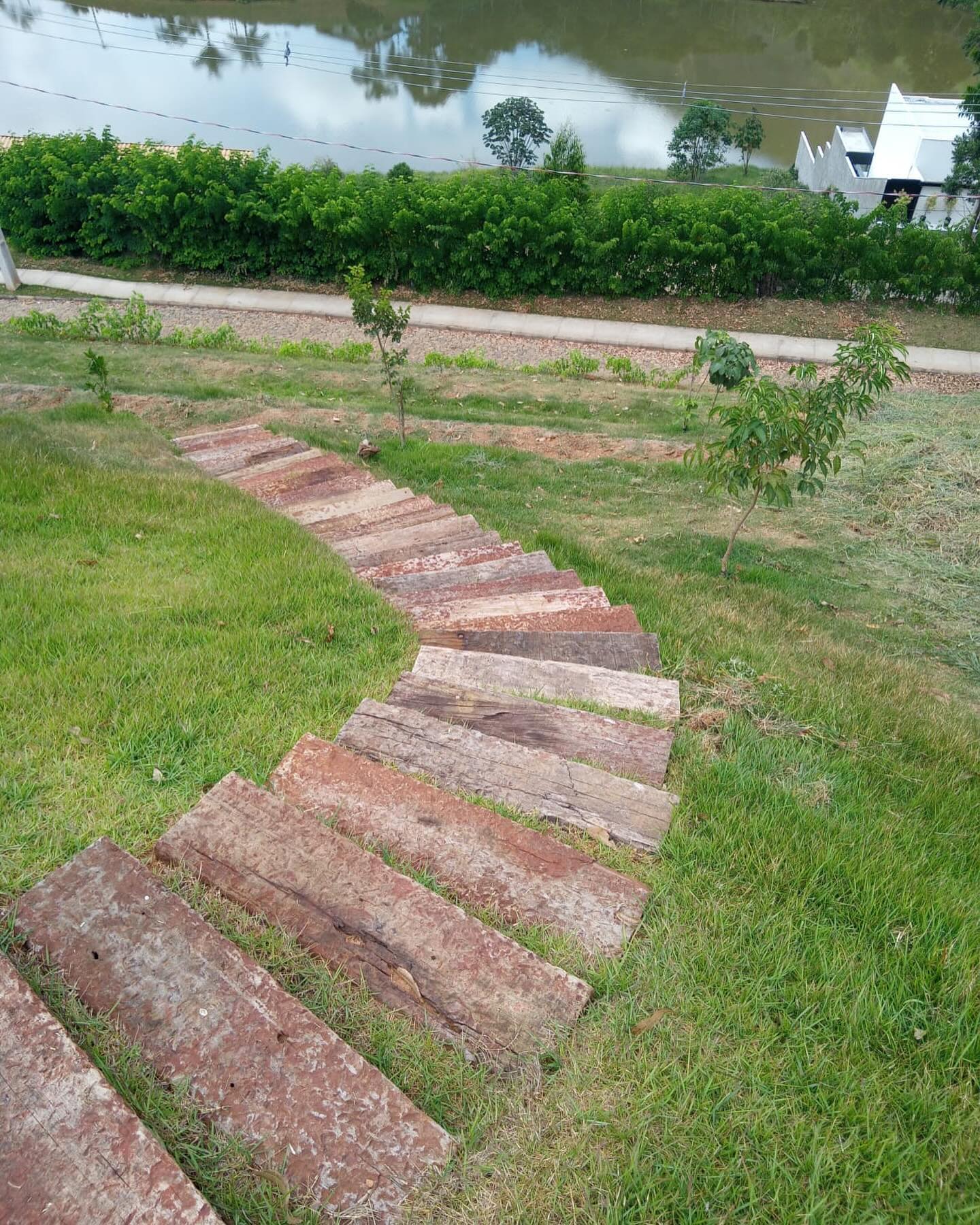 Projeto com piscina e vegetação